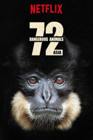 Serie 72 animaux dangereux en Asie en streaming