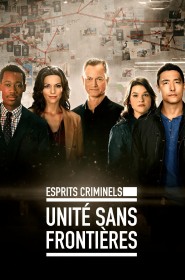 Film Esprits Criminels : Unité Sans Frontières en streaming