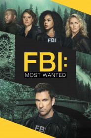 Série FBI: Most Wanted en streaming