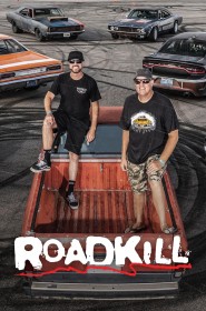 Serie Roadkill en streaming