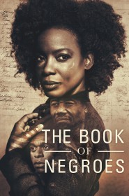 Serie The Book of Negroes en streaming
