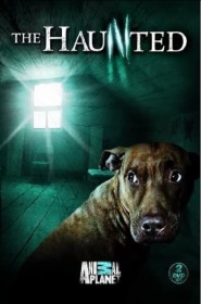 Série The Haunted en streaming